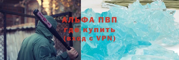 PSILOCYBIN Елабуга