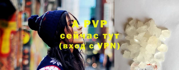 PSILOCYBIN Елабуга