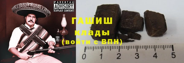 СК Елизово