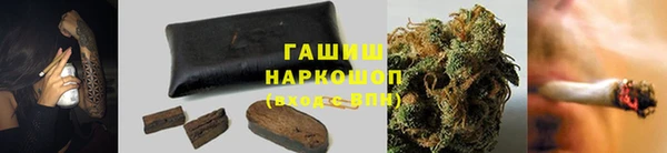 PSILOCYBIN Елабуга