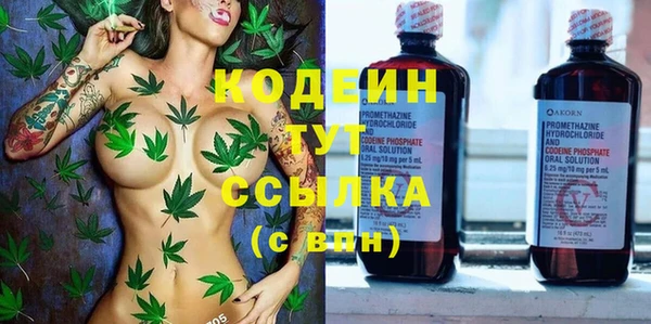 СК Елизово