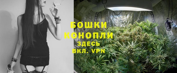 PSILOCYBIN Елабуга