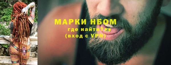 СК Елизово