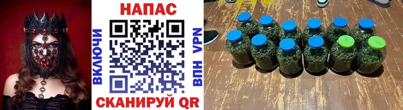магазин  наркотиков  Тара  Каннабис сатива 